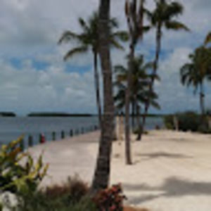 Meet your Posher, Wade